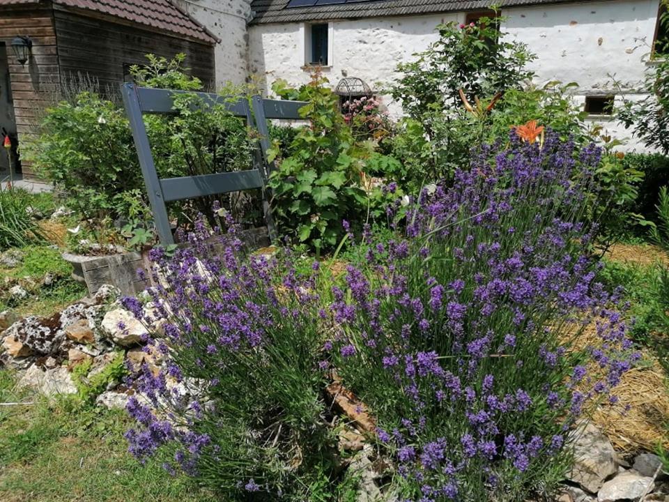 Hôtellerie Jardiniers Gourmands Morsains Exterior foto