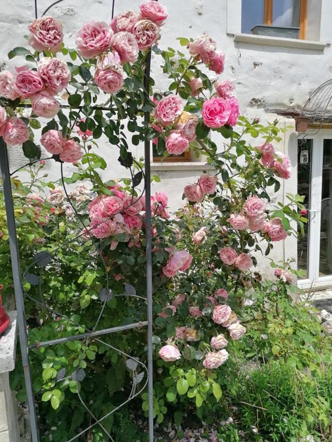 Hôtellerie Jardiniers Gourmands Morsains Exterior foto