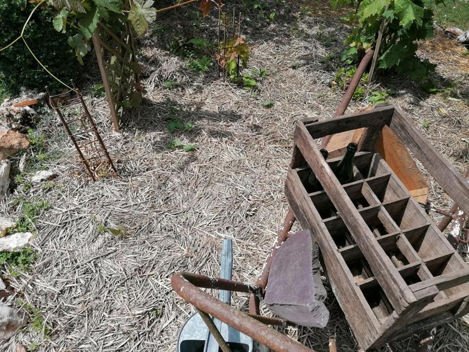 Hôtellerie Jardiniers Gourmands Morsains Exterior foto